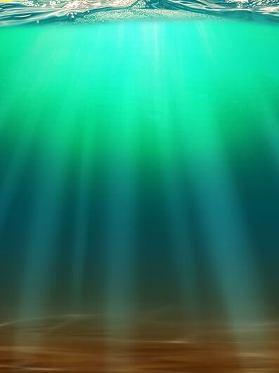 Big Bass Bonanza 1000_tournie_bg