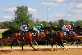 a-horse-race