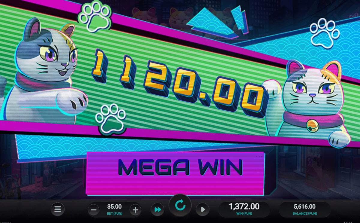 Neko Night Dream Drop mega win