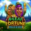 4-Leaf Fortune: Hold & Win