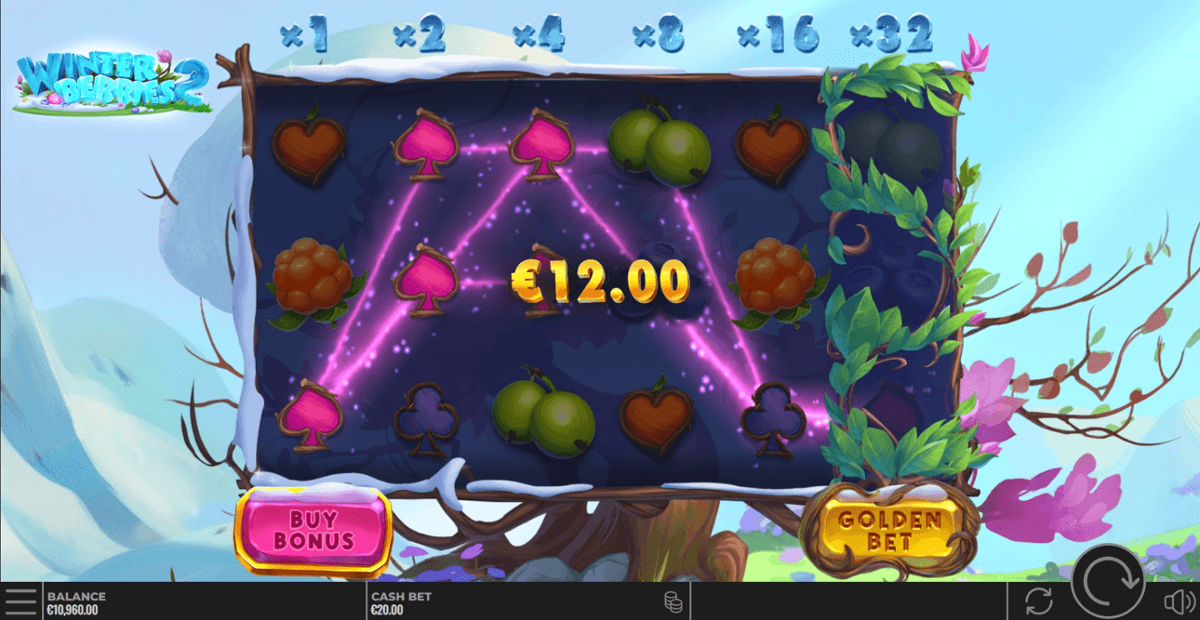 Winter Berries 2 win