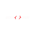 Agent Spins Casino Logo