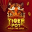 Tiger Pot: Hold The Spin