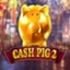 Cash Pig 2