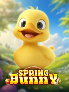 Spring Bunny