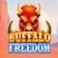 Buffalo Freedom