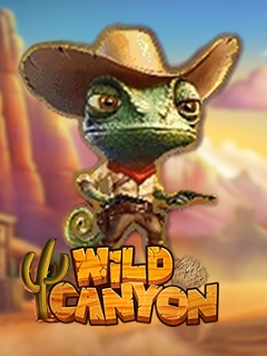 Wild Canyon