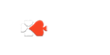 RollCasino