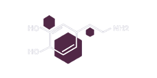Dopamine Delivery Casino Logo