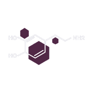 Dopamine Delivery Casino Logo