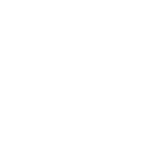 SlotMonkey Casino Logo