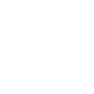 Duxcasino Logo