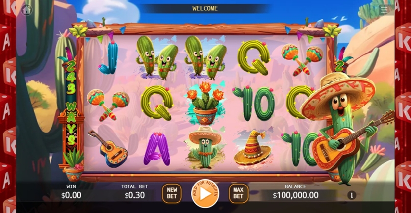 Mexican Cactus.jpg