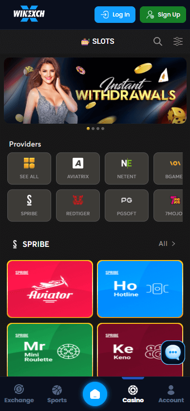 winexch24_casino_game_gallery_mobile