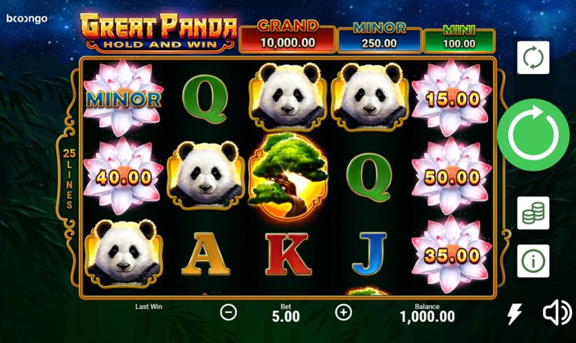 Casino Casino