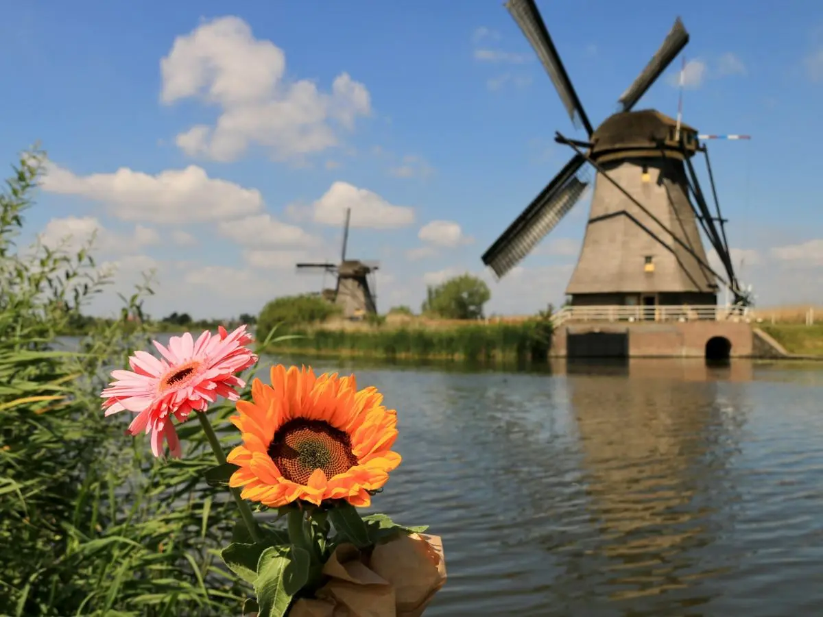 Netherlands 