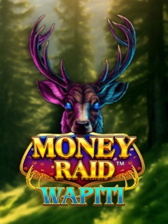 Money Raid Wapiti
