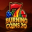 Burning Coins 20