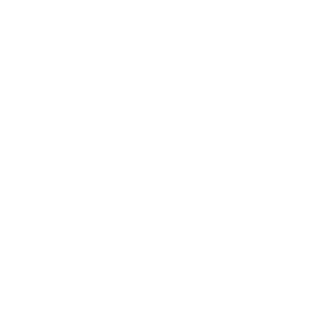 Bellagio Casino Logo