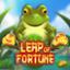Leap of Fortune