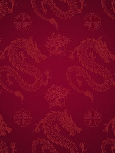 Bonsai Dragon_tournie_bg