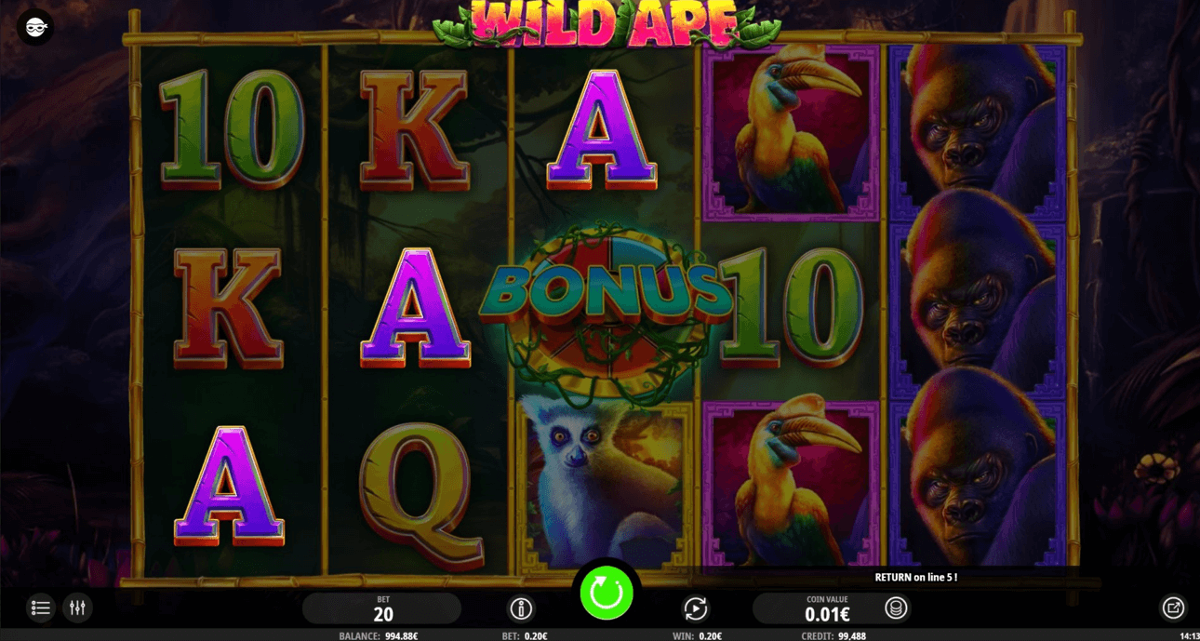 Wild Ape win