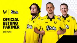 Team Vitality partnership