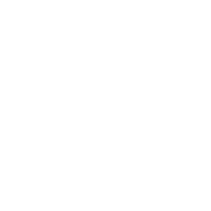10004_500x500_dark