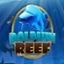 Dolphin reef