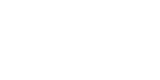 Bgogold Casino logo