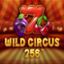 Wild Circus 256