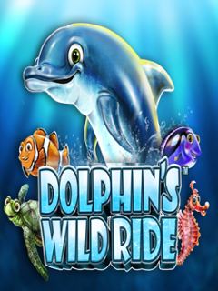 Dolphin's Wild Ride