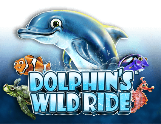 Dolphin's Wild Ride