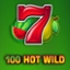 100 Hot Wild