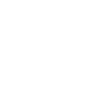 VIP Winners Club Casino Logo
