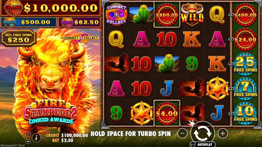 Fire Stampede 2 SC.jpg