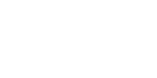 Wgo247 Casino logo