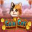Coin Cat
