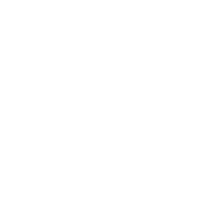 D1ce Casino Logo