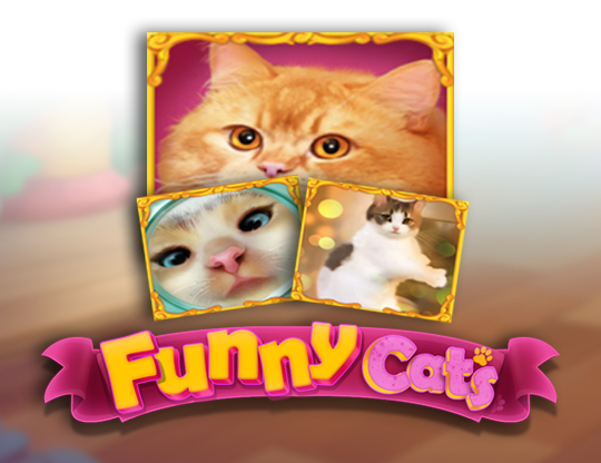 Funny Cats