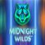 Midnight Wilds