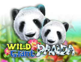 Wild Giant Panda