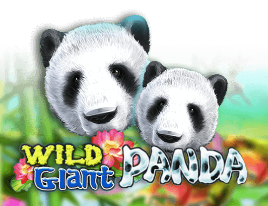 Wild Giant Panda