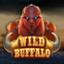 Wild Buffalo