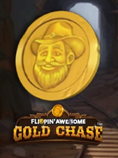 Flippin' Awesome Gold Chase