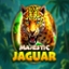 Majestic Jaguar