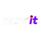 Puntit Casino Logo
