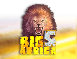 Big 5 Africa