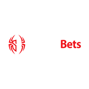 SpiderBets Casino Logo