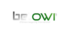 BetOWI Casino Logo